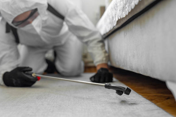 Professional Termite Control technician working in Alpena, MI