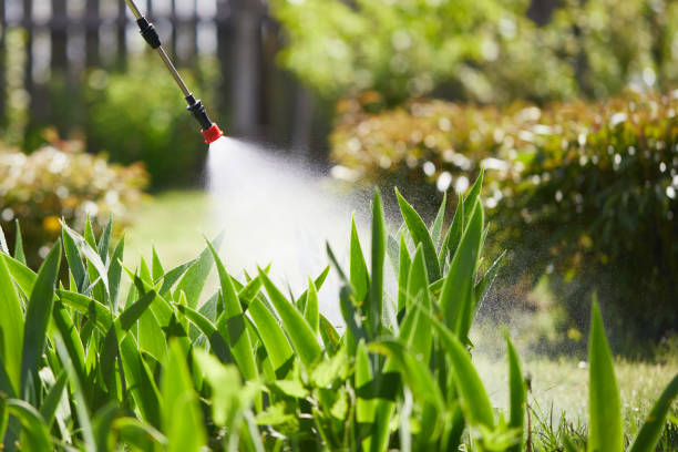 24/7 Emergency Termite Control experts in Alpena, MI