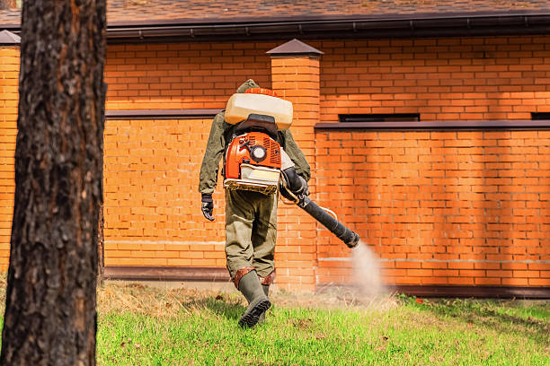 Top rated local Termite Control specialists in Alpena, MI